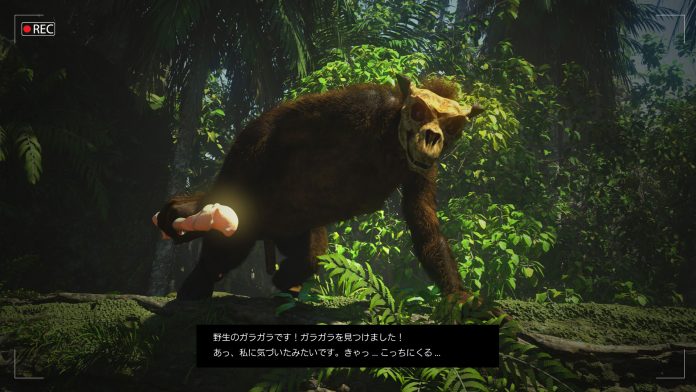 野生化したポケモンのガラガラ