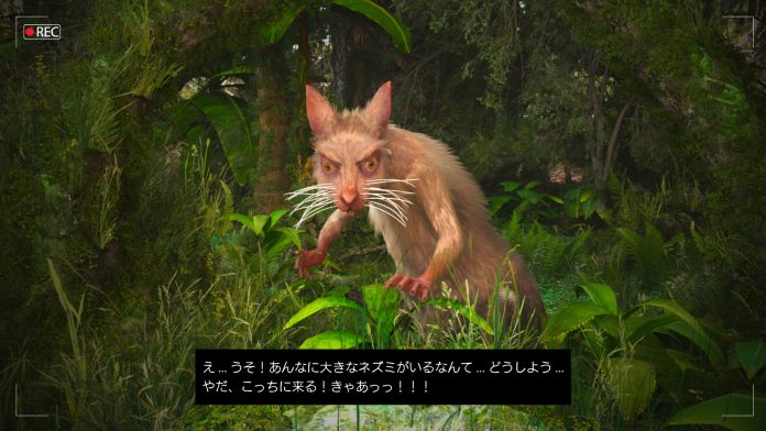 野生化したラッタ