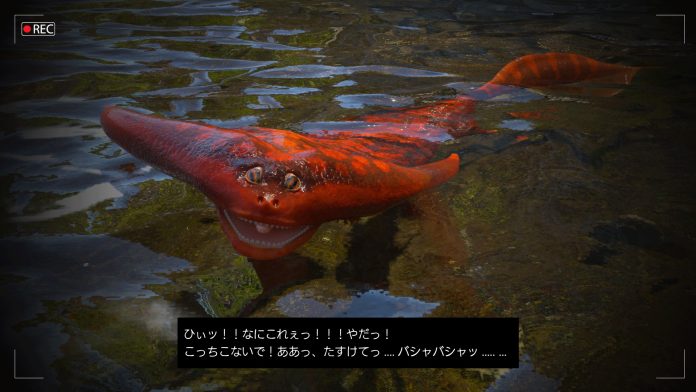 野生化したドラパルト