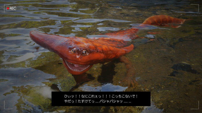野生ドラパルト・発情期のオス