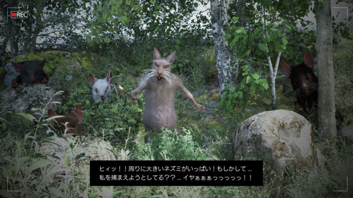 野生のラッタとコラッタの群れ