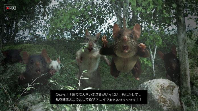 コラッタの群れとラッタ